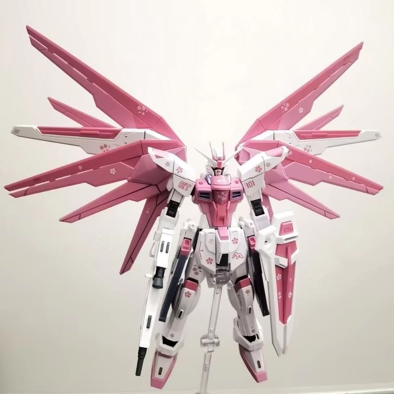 JMS HG 1/144 ZY-06 프리덤 어썰트 벚꽃  - Bandai Gundam Rg 리뷰 및 가격